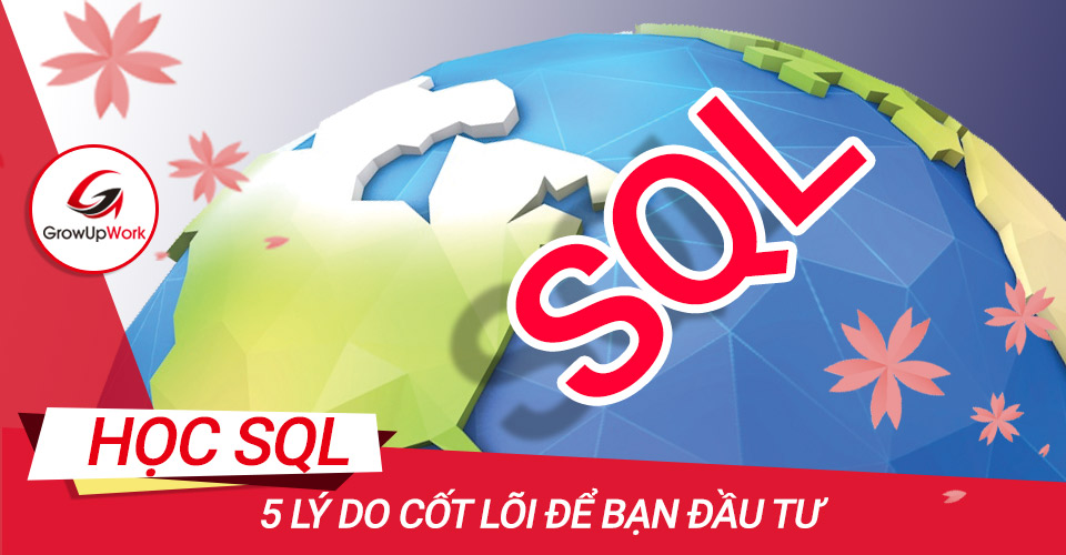 5 Lý do cốt lõi để bạn đầu tư học SQL
