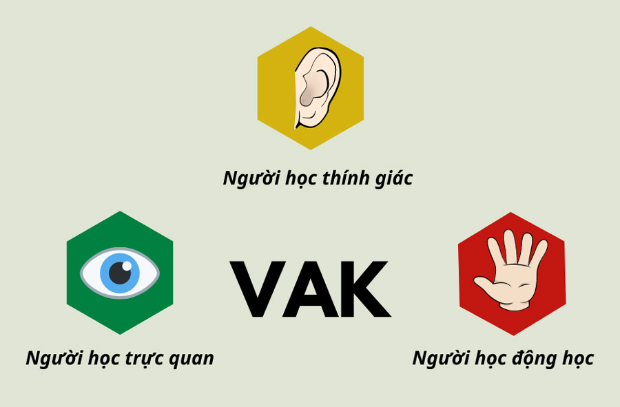 Có 3 phương pháp học tập VAK lựa chọn nghề nghiệp