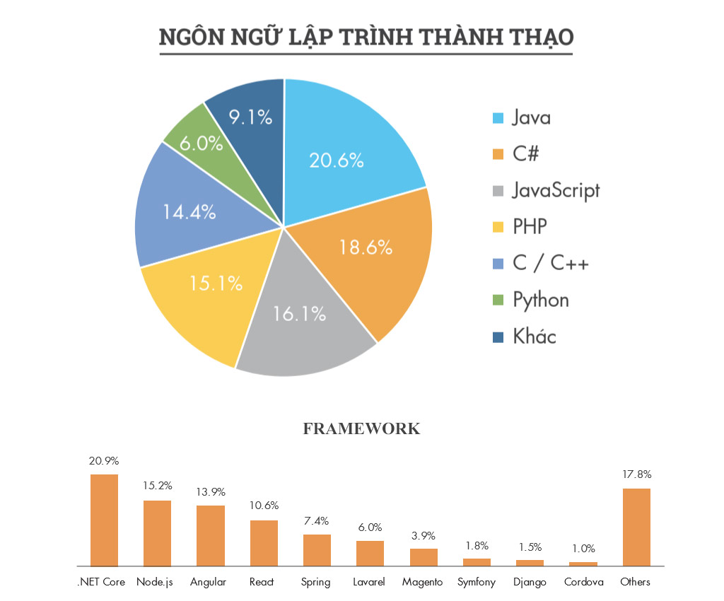 Tỉ lệ tuyển dụng việc làm theo ngôn ngữ và Framework ngành IT 2019 (Nguồn: Vietnamwork)
