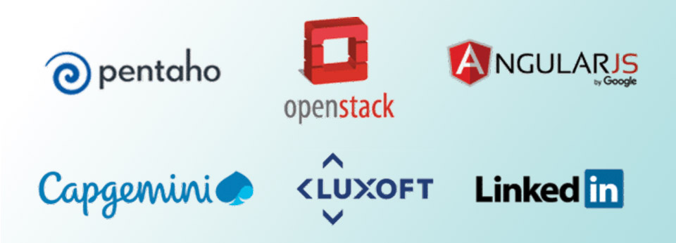Các công ty sử dụng Jenkins