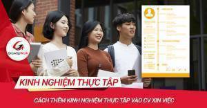 Kinh Nghiệm Thực Tập Trong CV: Tấm Vé Vàng Mở Cánh Cửa Sự Nghiệp IT