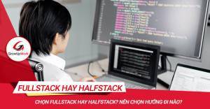 Chọn Fullstack hay Halfstack? Nên chọn hướng đi nào?