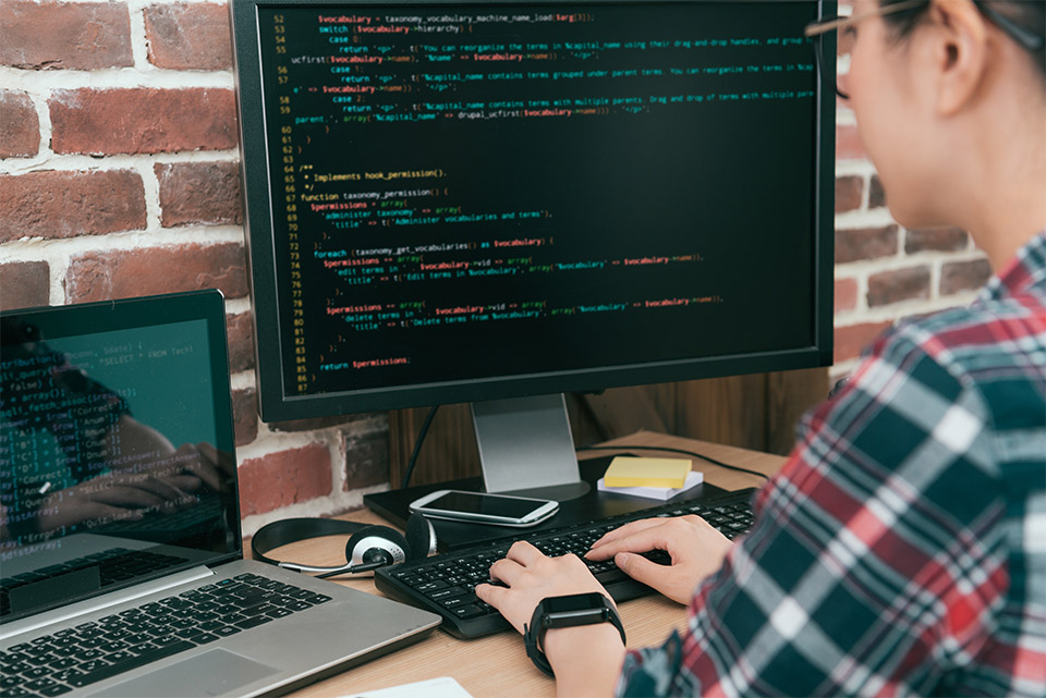 Lập trình viên / Nhà phát triển - Developer