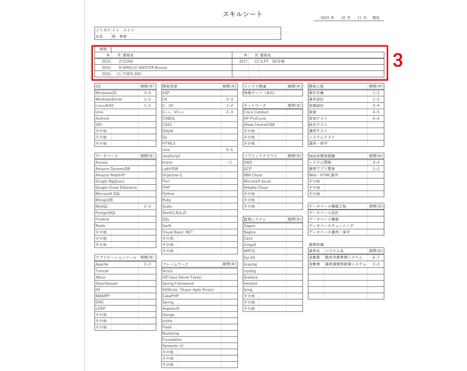 Điền trình độ chuyên môn trong Skill Sheet