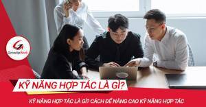 Kỹ năng hợp tác là gì? Cách để nâng cao kỹ năng hợp tác
