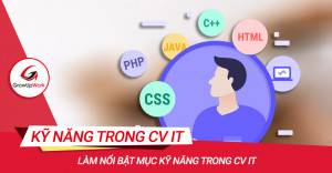 Làm nổi bật mục Kỹ năng trong CV IT