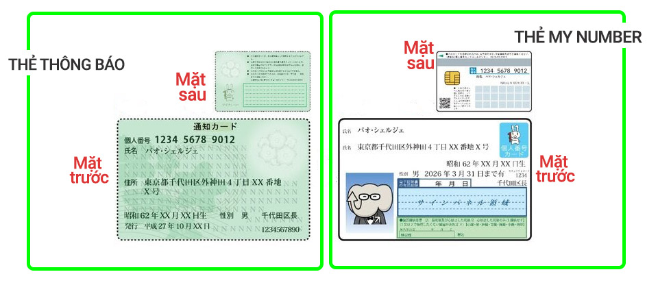 Làm thẻ my Number tại Nhật