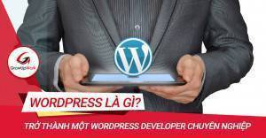 Làm thế nào để trở thành một Wordpress Developer chuyên nghiệp?