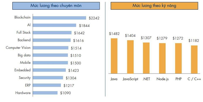 Mức lương lập trình viên Blockchain theo chuyên môn và kỹ năng