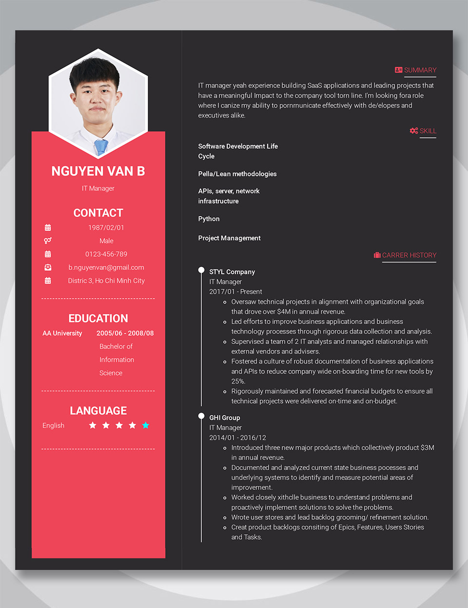 Mẫu CV IT Manager 2