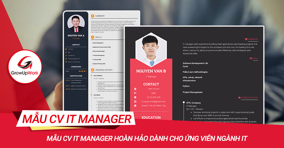 Mẫu CV IT Manager hoàn hảo dành cho ứng viên ngành IT