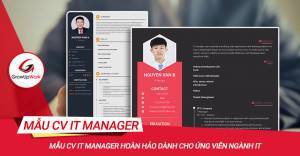 Mẫu CV IT Manager hoàn hảo dành cho ứng viên ngành IT