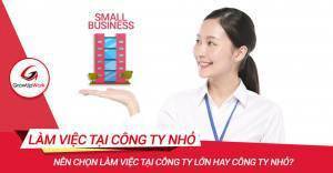 Công Ty Lớn Hay Công Ty Nhỏ: Đâu Là Lựa Chọn Đúng Đắn Nhất?
