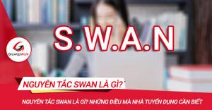 Nguyên tắc SWAN là gì? Những điều mà nhà tuyển dụng cần biết