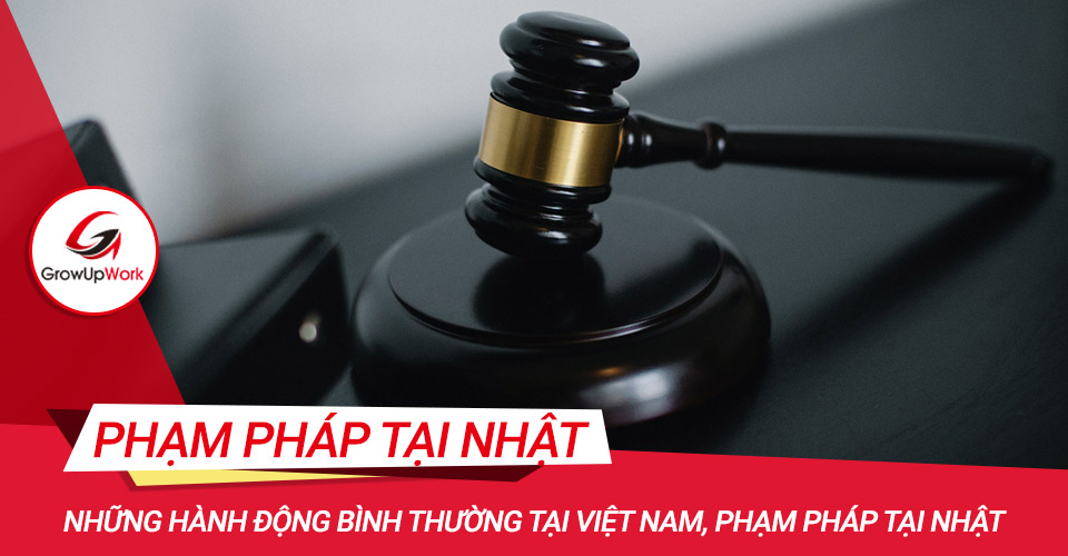 Những hành động bình thường tại Việt Nam, phạm pháp tại Nhật