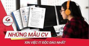 Những mẫu cv xin việc IT độc đáo nhất 2020