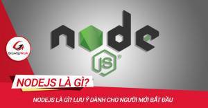 Nodejs là gì? Lưu ý dành cho người mới bắt đầu