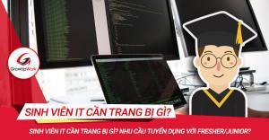 Sinh viên IT cần trang bị gì? Nhu cầu tuyển dụng với Fresher/Junior?