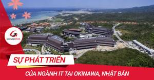 Sự phát triển ngành IT tại Okinawa, Nhật Bản