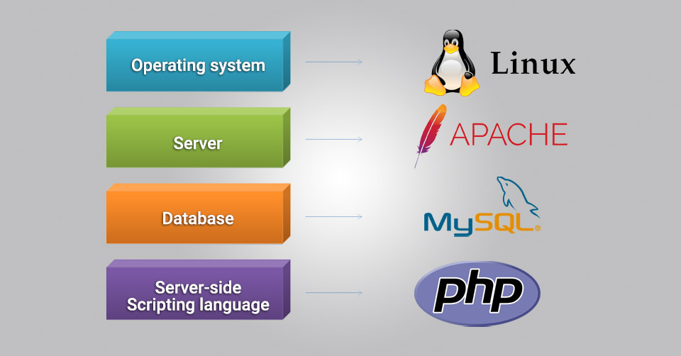 Ví dụ cho Software Stack là gì
