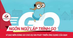 Vì sao dùng ngôn ngữ lập trình Go cho dự án của bạn?