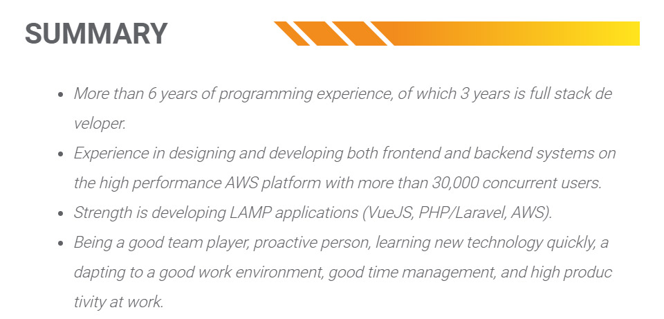 Viết Summary trong CV Software Developer