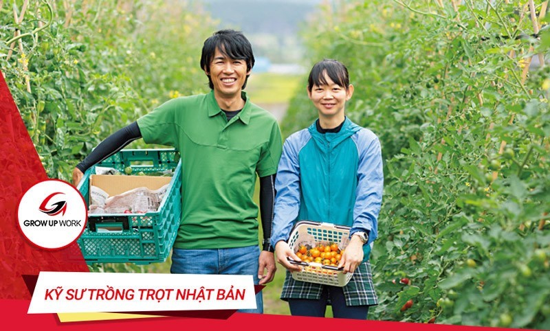 Kỹ sư trồng trọt tại Nhật Bản