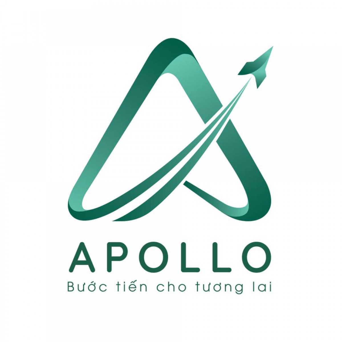 Data analyst